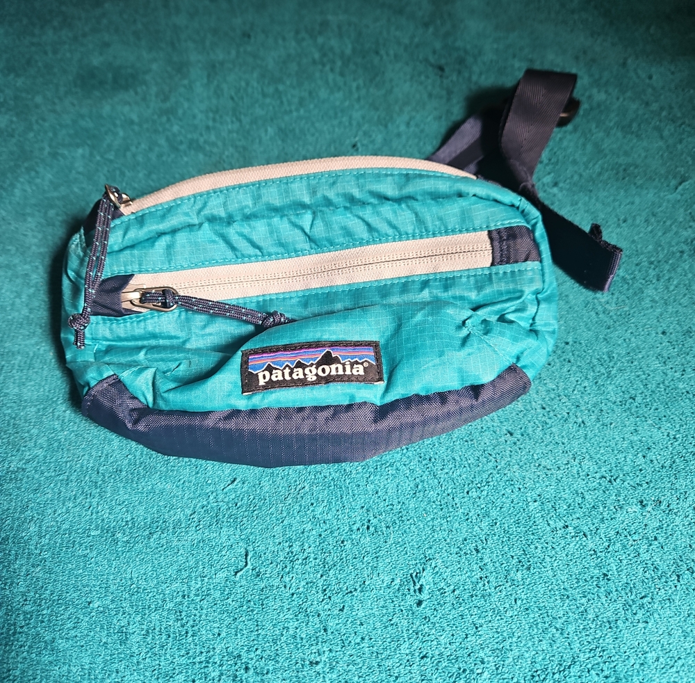Patagonia Lightweight Travel Mini Hip Pack